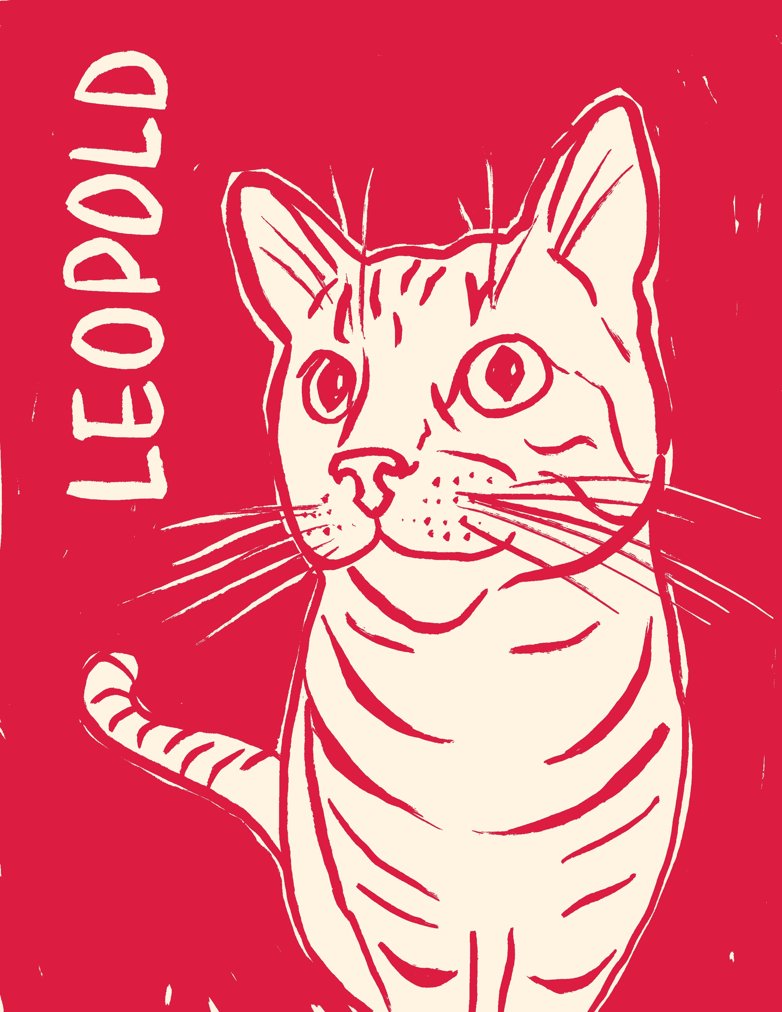 Pet portrait 2