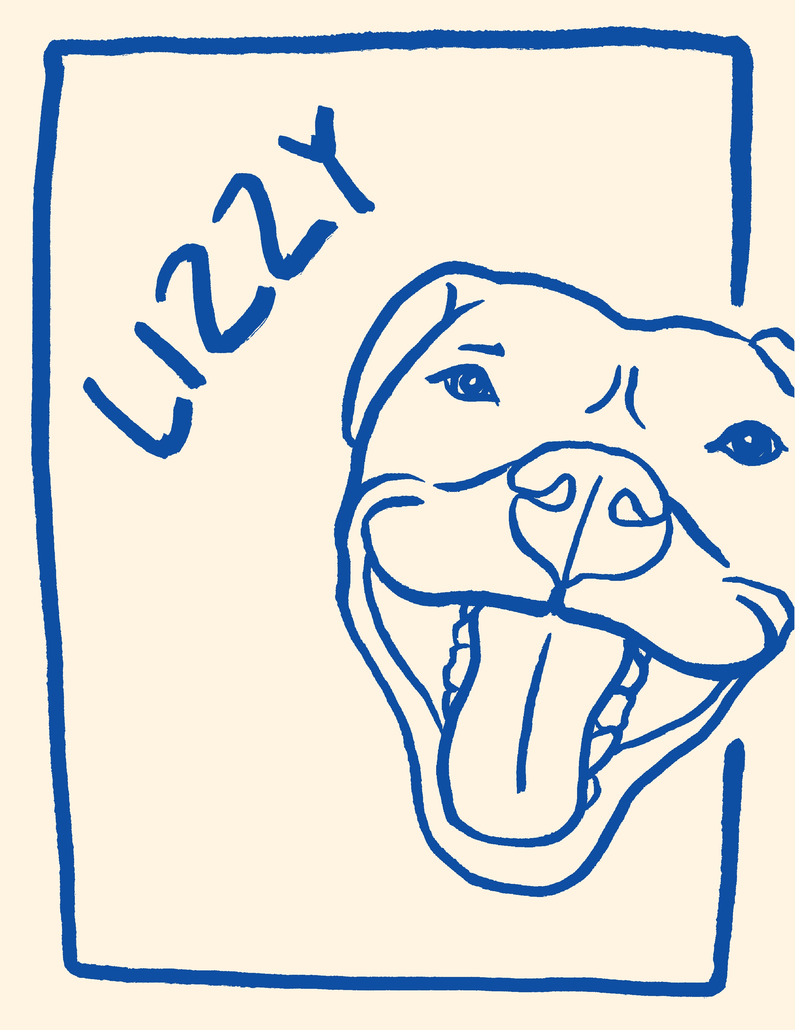 Pet portrait 4