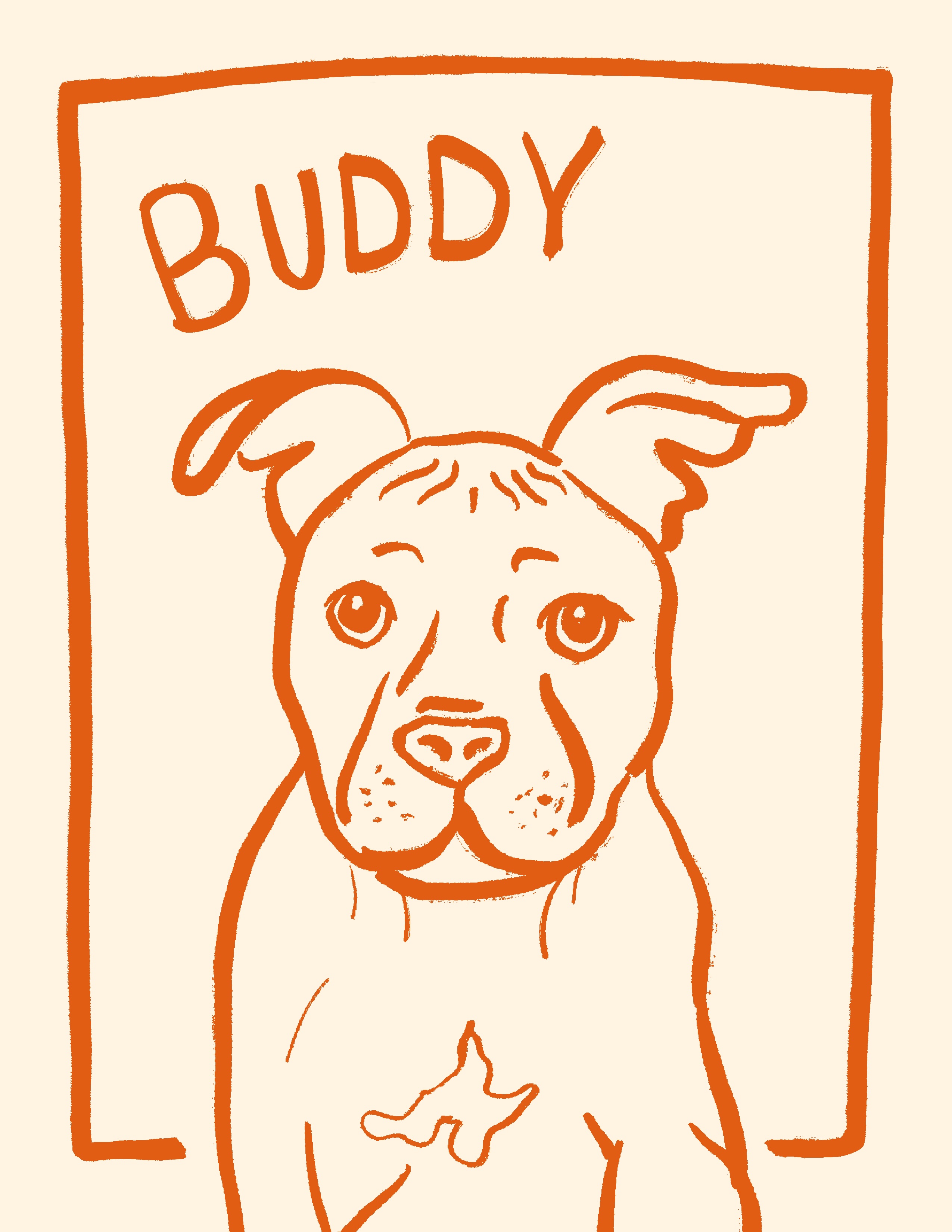 Pet portrait 5