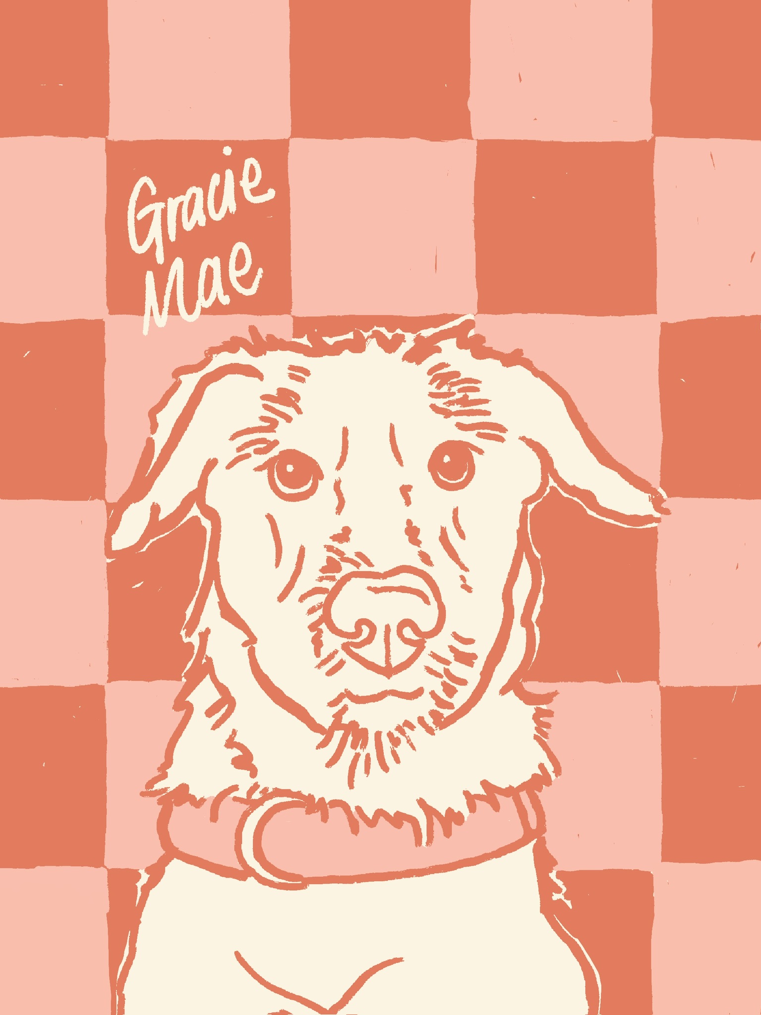 Pet portrait 6